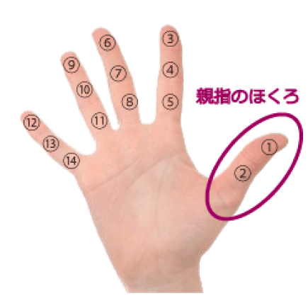 手のほくろ占い １ 親指にホクロがある手相の見方 簡単な手相の見方を伝授します