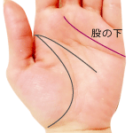 感情線が中指と人差指の指の股の下で終わる手相