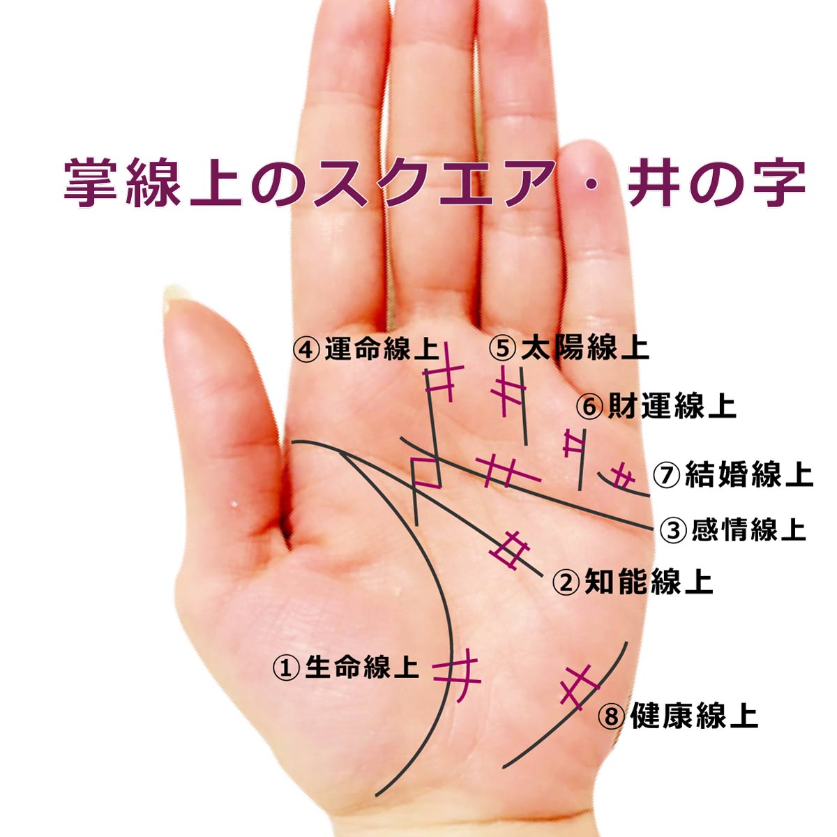 掌のスクエア・四角紋・井の字紋