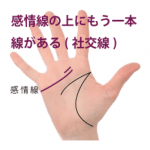 感情線の上にもう一本別の線がある手相-その2(社交線)