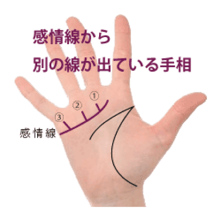 感情線の枝分かれ 8 上向きの別の線が指に向かって出ている手相 簡単な手相の見方を伝授します