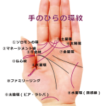 【手相紋占い8】手のひらに環紋(リング)がある手相