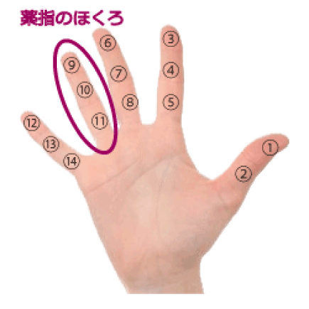 手のほくろ占い ４ 薬指にホクロがある手相の見方 簡単な手相の見方を伝授します