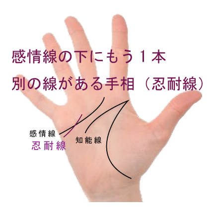 感情線の下にもう一本別の線がある手相-その3(忍耐線)