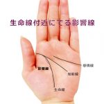 生命線付近にでる「影響線」で異性との出会いや恋愛の時期を占う(生命線の流年法)
