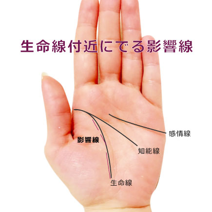 生命線付近にでる「影響線」で異性との出会いや恋愛の時期を占う