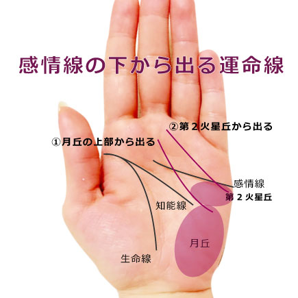 運命線の起点で占う11－感情線の起点の下から運命線が伸びる手相2種 | 簡単な手相の見方を伝授します