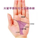 運命線の起点で占う10-手のひらの真ん中あたり(火星平原)から運命線が伸びる手相