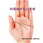 ラッキーな手相16 小指に向かって伸びる「財運線」が長い