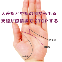 人差し指と中指の間から出た頭脳線の支線が感情線でストップする手相