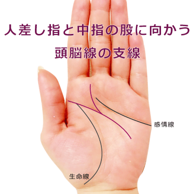 頭脳線の支線が人差し指と中指の股に向かう手相